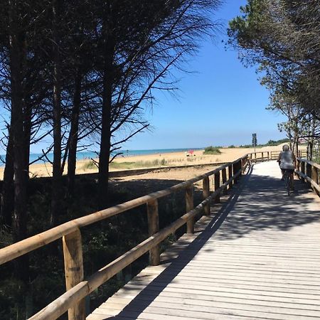 Appartamenti Livenza Bibione Eksteriør bilde